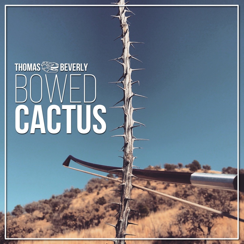 Bowed Cactus Cover